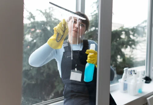 Nettoyage de vitres intérieures et extérieures à Puy-de-Serre